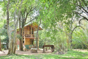 Wilpattu Jungle Resort